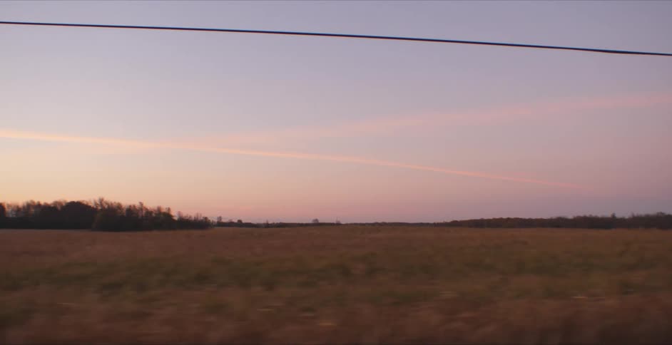 A grassy field with trees and the sky in the background