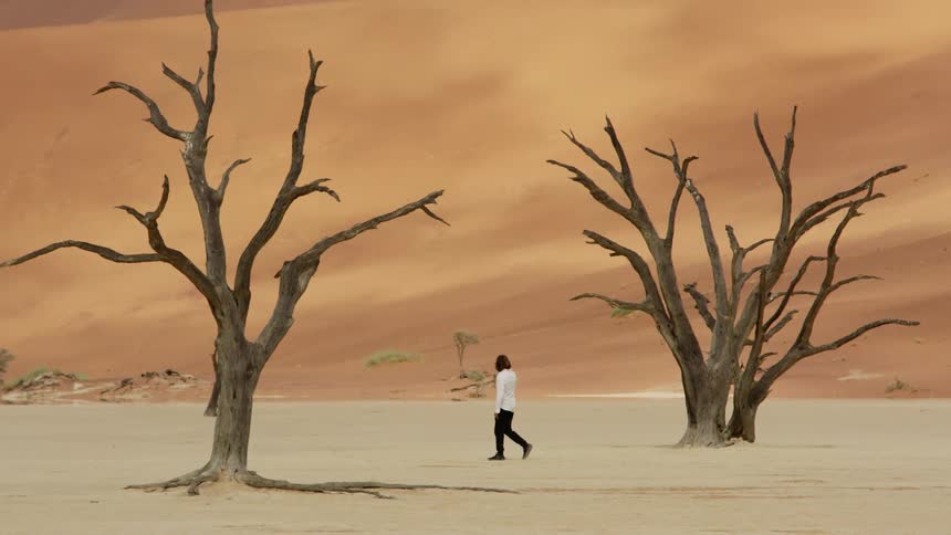 Man walks in the desert
