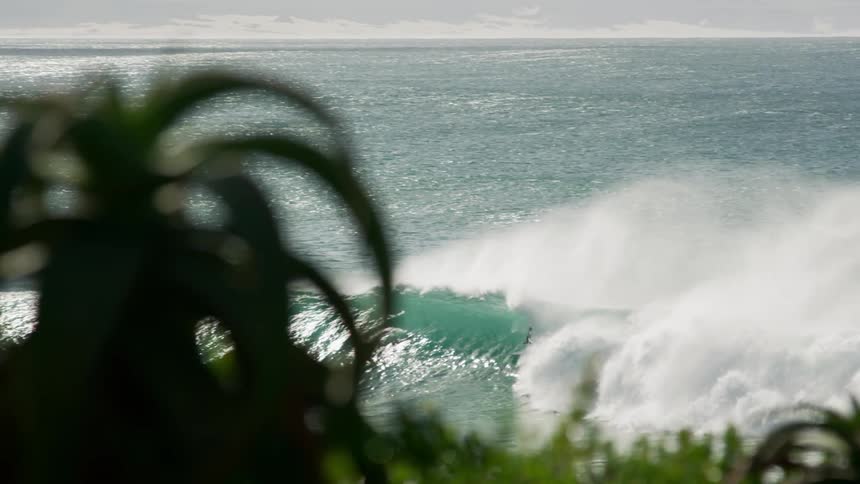 Male surfer surfs a big wave as it comes towards land