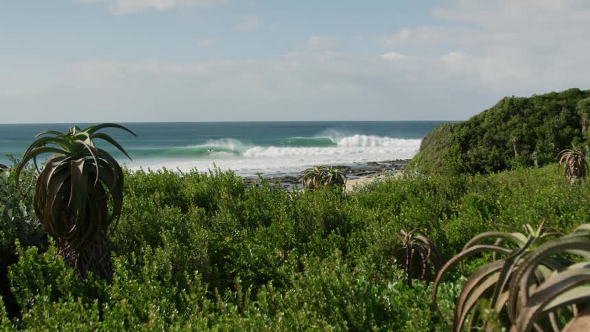 The ocean waves splash