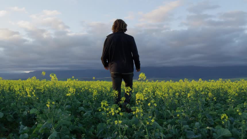 A white male walks through a field full of flowers