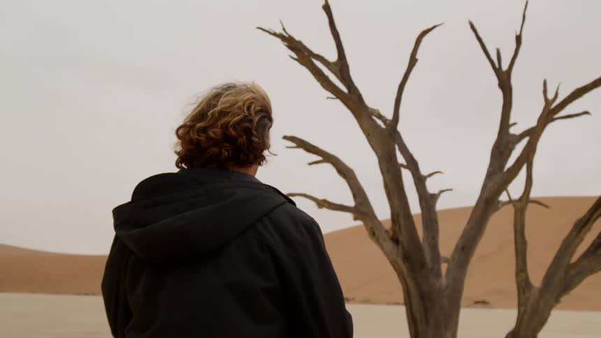 A person in a dark hoodie walks towards a dead tree
