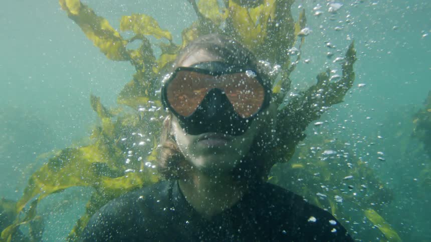 A man swims underwater
