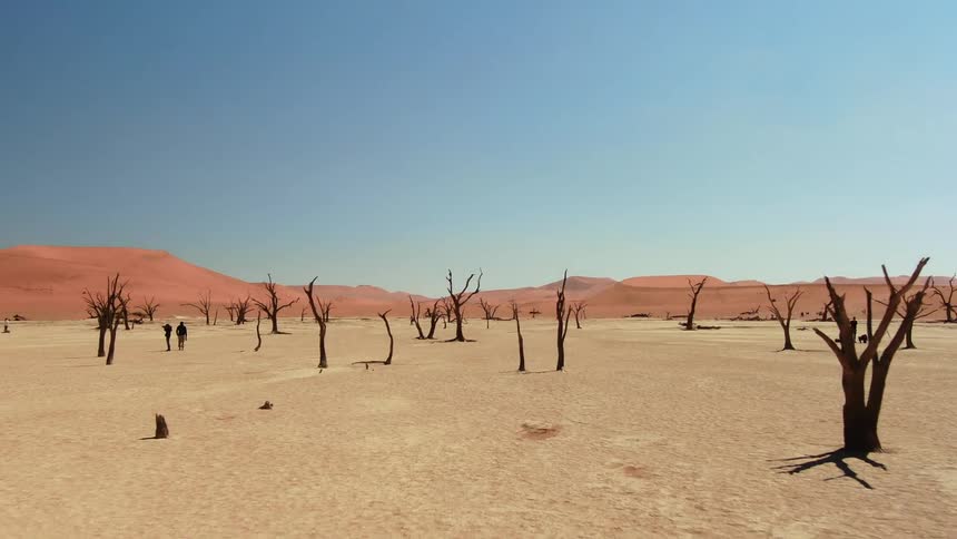People move around a desert environment in a video game