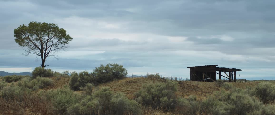 A shack in a field