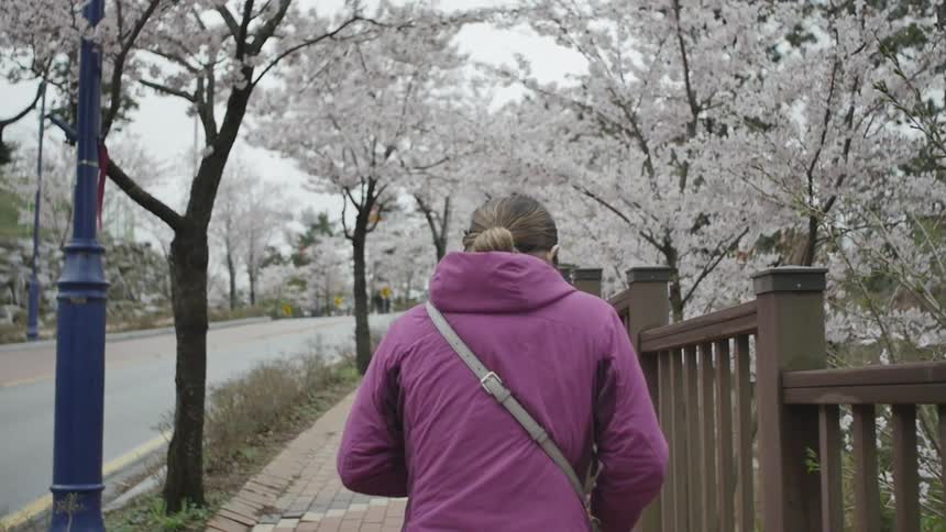 A woman in  a purple jacket walks down the sidewalk