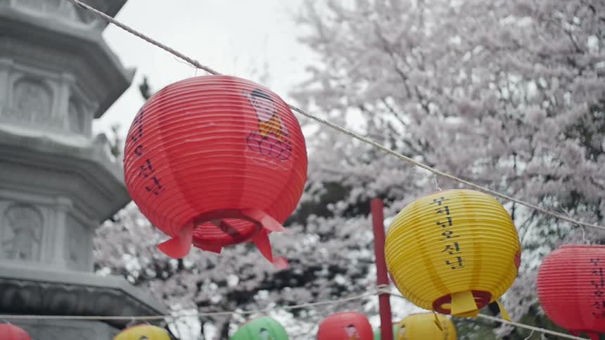 Paper lanterns sway in the breeze