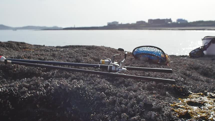 Two fishing poles and a fishing net sitting on a shoreline