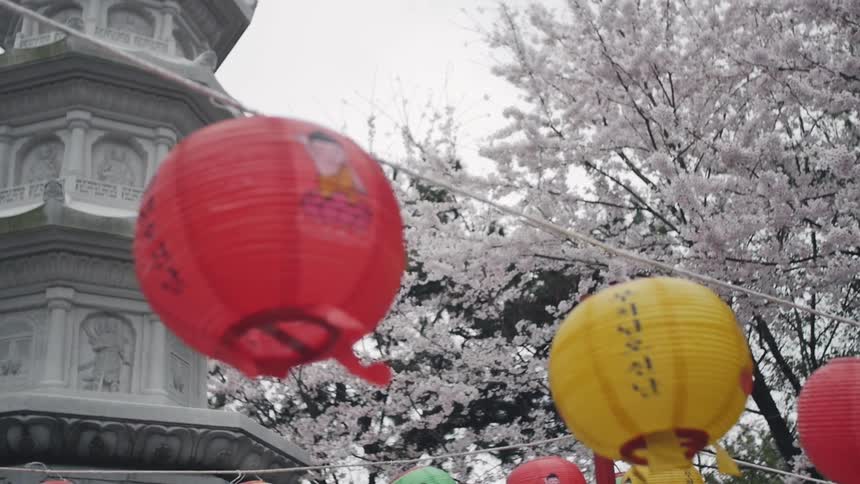Colorful chinese lanterns hang from a line outdoors
