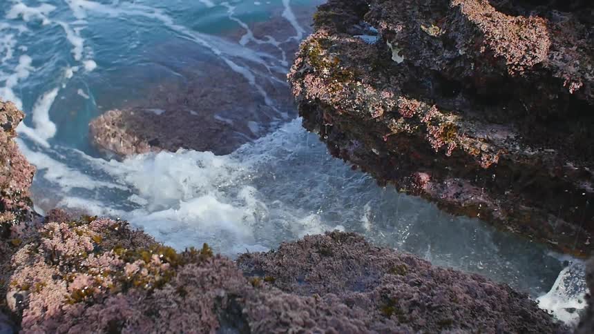 Water gushes by large rocks