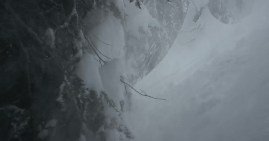 A skier sprays the camera with snow while skiing by trees