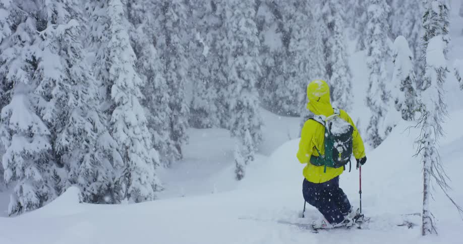 A skier stands out in the snowy woods and looks around