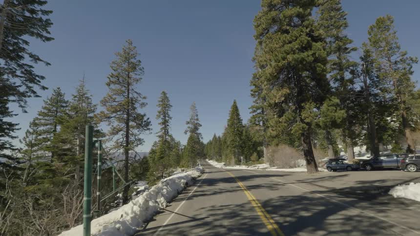 Driving down a tree and snow lined street