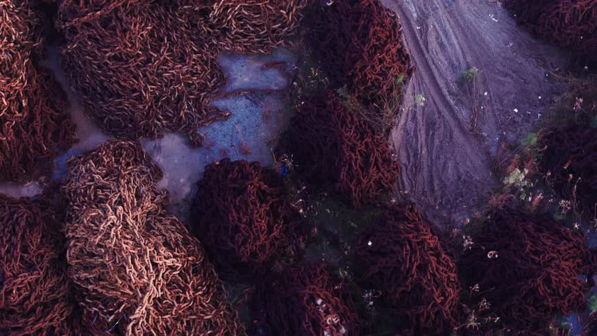 Bundles of rusted chain sit in the sand
