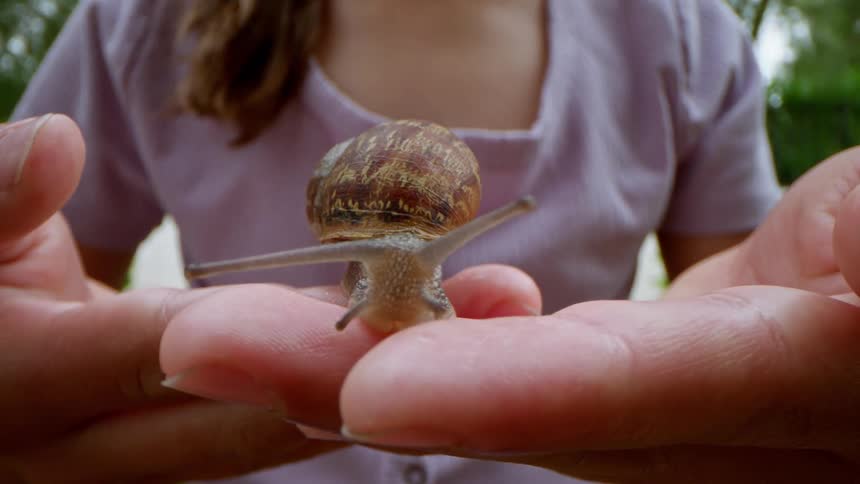 A white woman holds a snail on her fingers