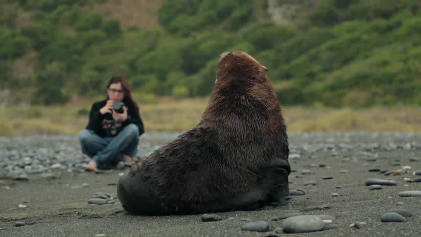 A young woman takes pictures of a sea lion
