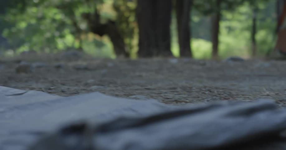 A piece of fabric is unrolled on the ground in the woods