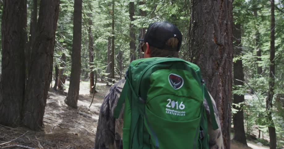 A man wearing a backpack walks through a forest and is looking around
