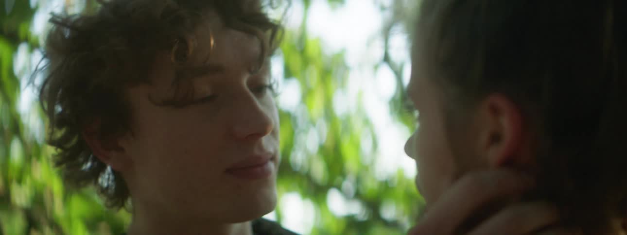 Man and woman touch and kiss each other under a tree
