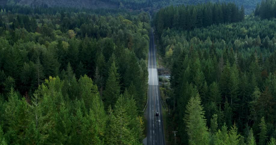 A car drives down a street next to a forest and crosses a bridge over a river