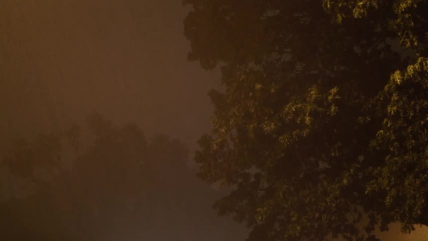 Rain storm with flashing lightning falling over trees at night