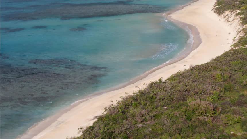 A narrow beach sits below a small cliff covered with weeds and bushes