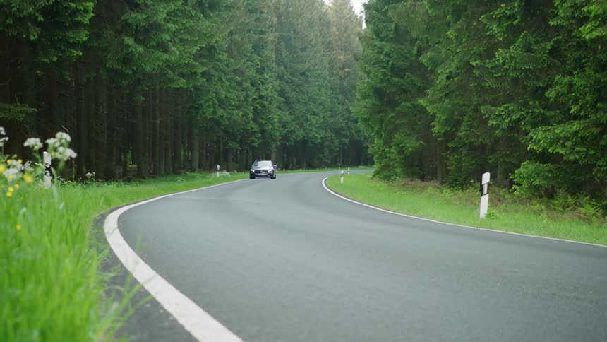 A car drives down a road that cuts through a dense forest