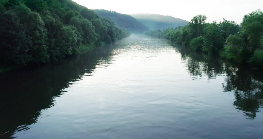 Trees on either side of a river