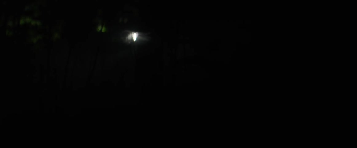 A light is flashing into a forest filled with smoke