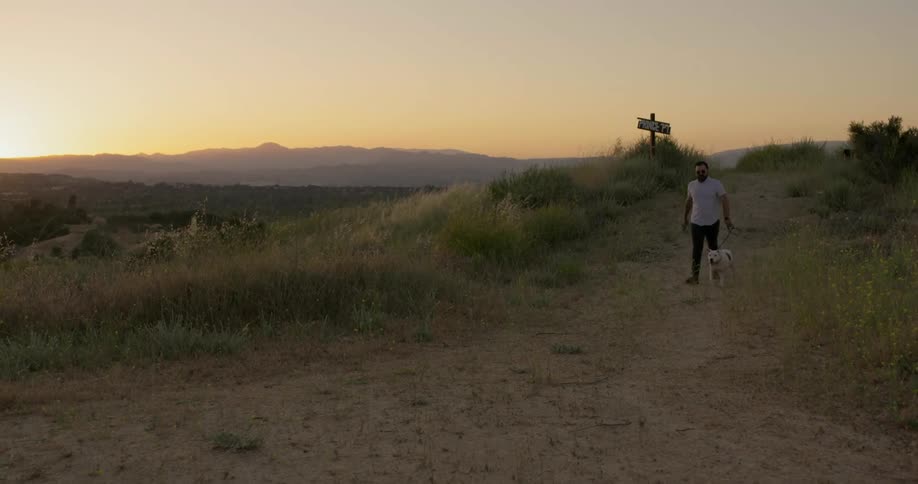 Man with beard and sunglasses walks a dog downhill at sunset