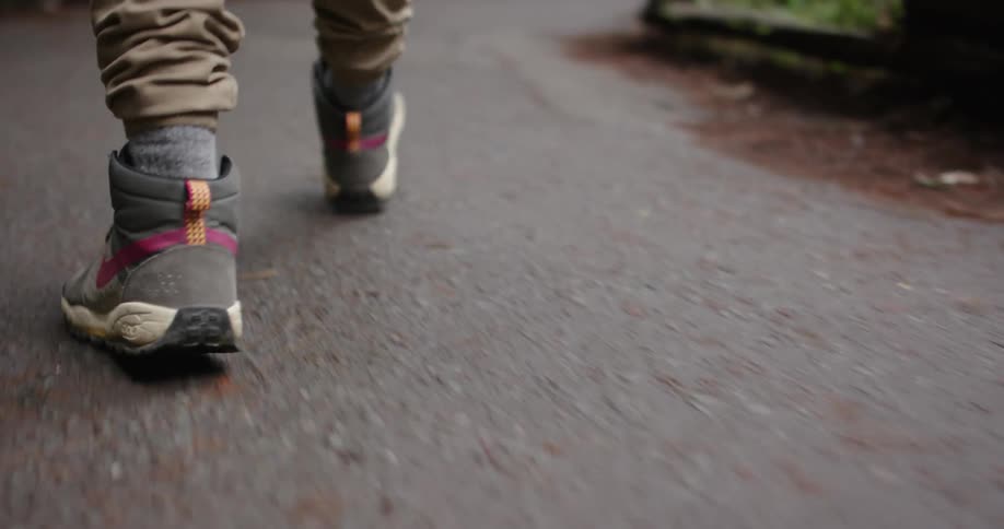 A hiker walks down a paved trail in a forest