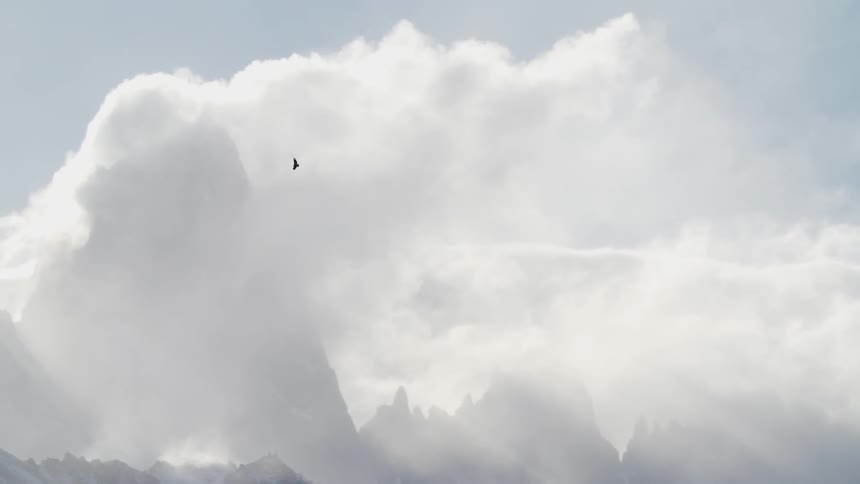Eagle flying in front of mountains covered in clouds