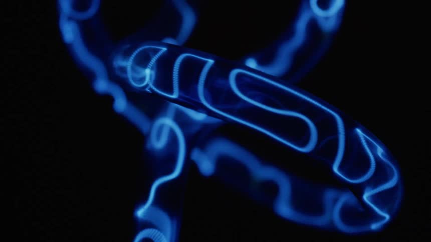Blue line changes pattern as it flows through twisted tube against black background