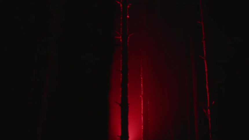 Long hanging vines and surrounding dark red tinted area brightens