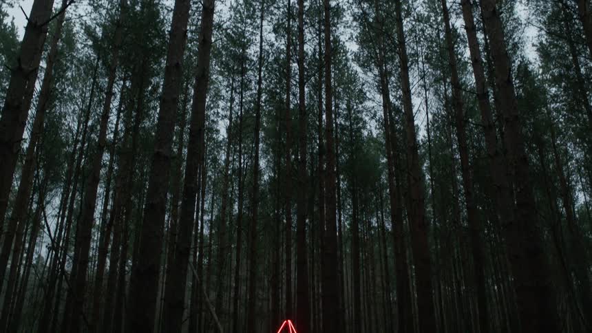 A neon triangle in a forest