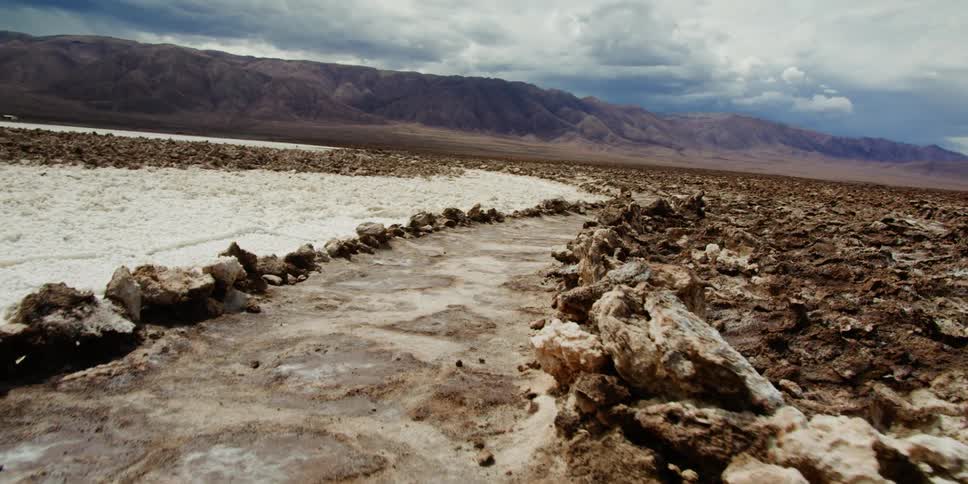 A trail lined with rocks in the desert leads toward a vast canyon