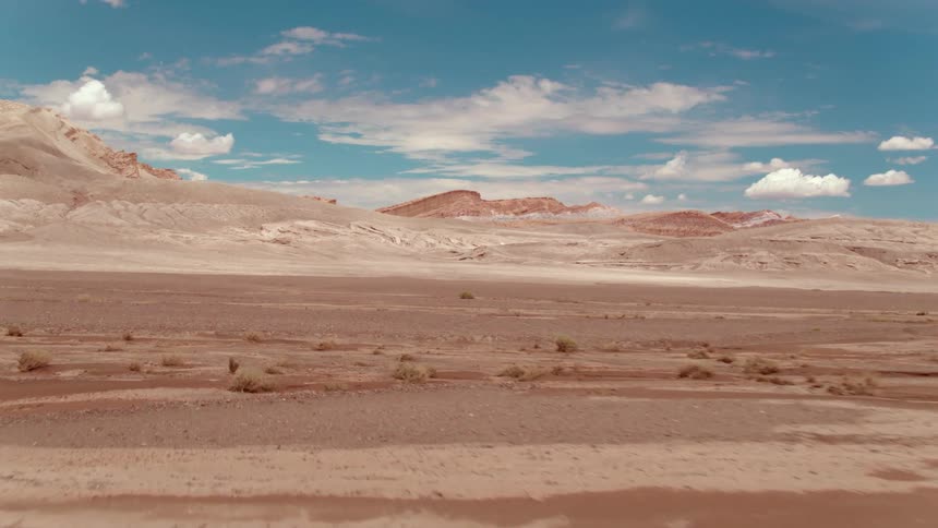 Scrub brush grows in a desert showing signs of past erosion