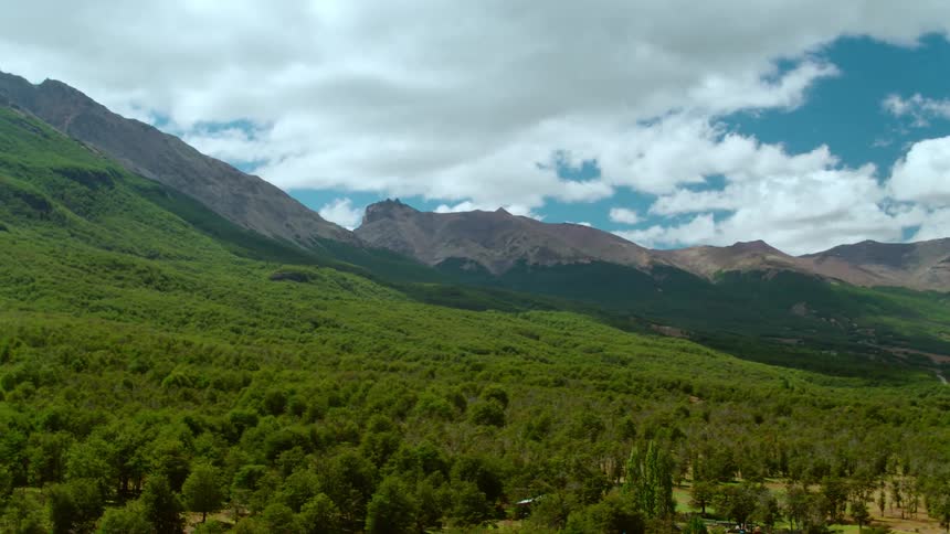 A forest is displayed by a mountain range