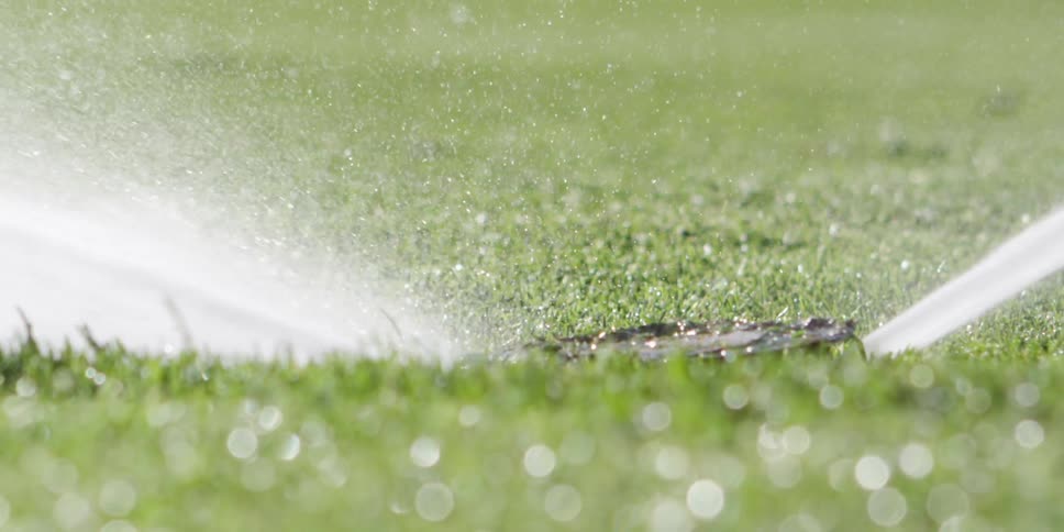 A sprinkler head pops up out of the green grass and sprays water on a bright sunny day