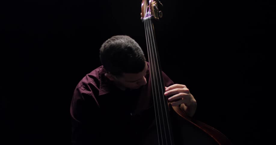 A musician is performing with an upright bass