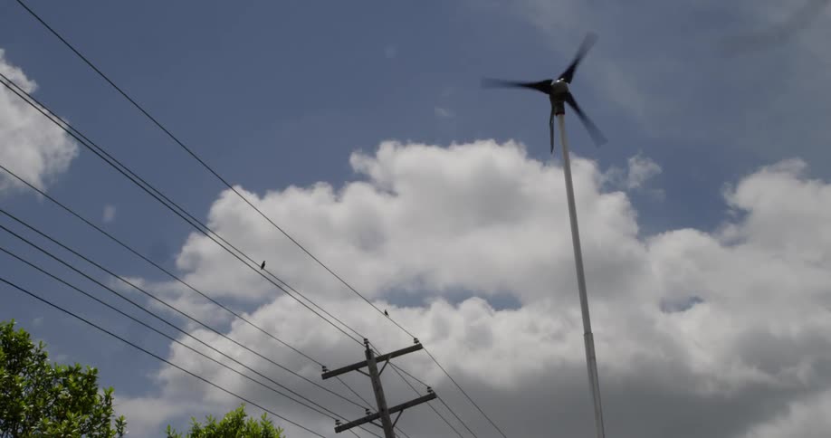 Birds take off from and sit on wires near a wind turbine on a bright sunny day