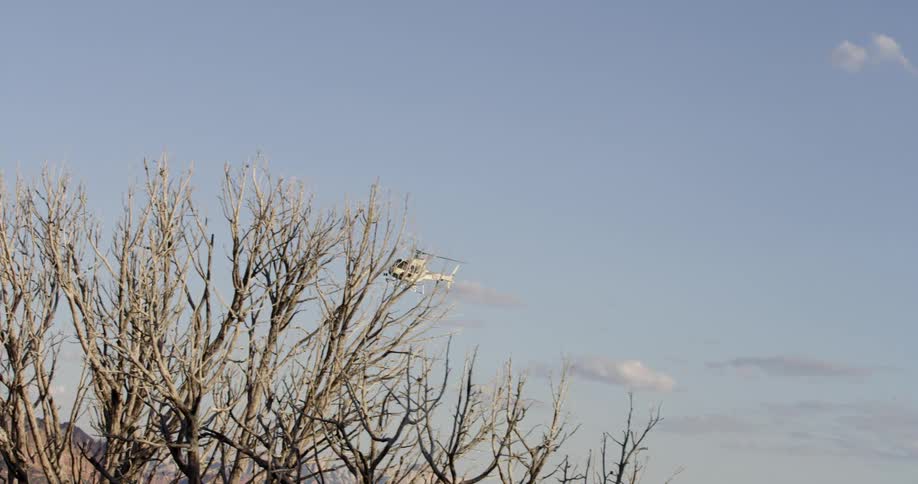 Helicopter flies behind a tree line