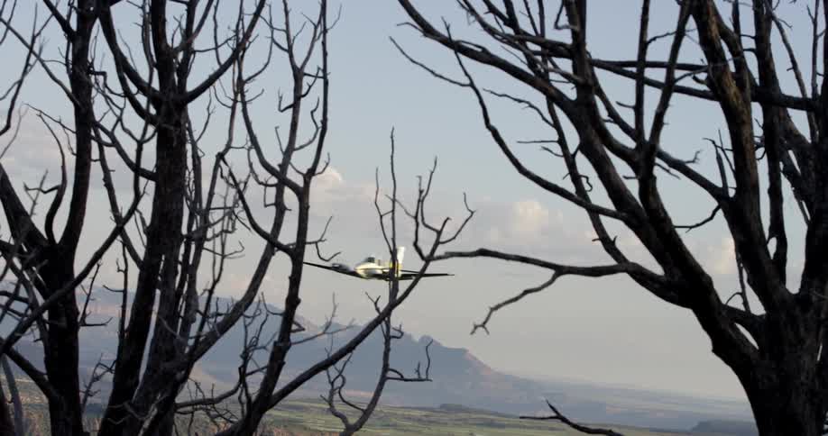 A small plane flies over a canyon and near bare trees