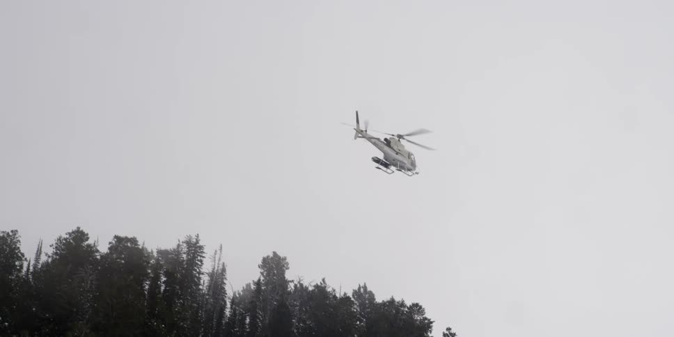 A helicopter is flying above a forest area