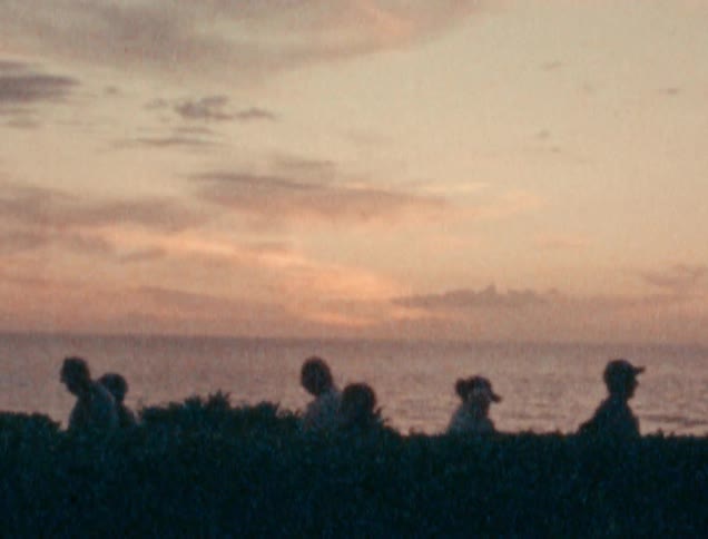 People pass each other walking near shoreline with slightly pink tinted clouds on the horizon