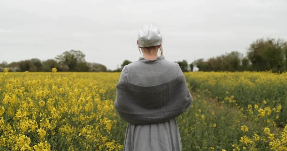 Amish woman walking through a field of yellow flowers in the country