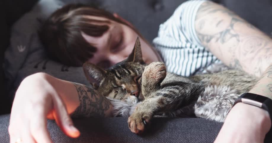 Woman taking a nap with her pet cat in a couch