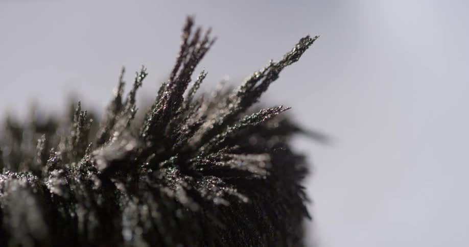 Magnetism