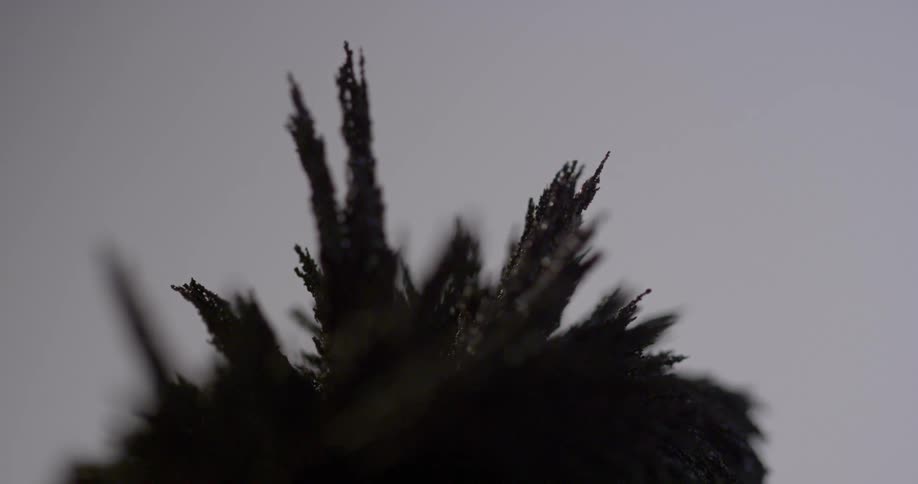 Dark material moves around