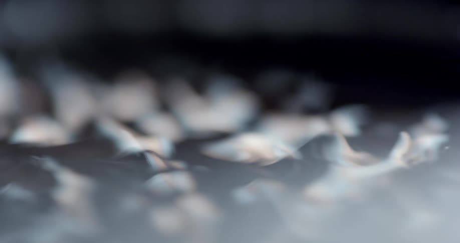 Close up of water boiling